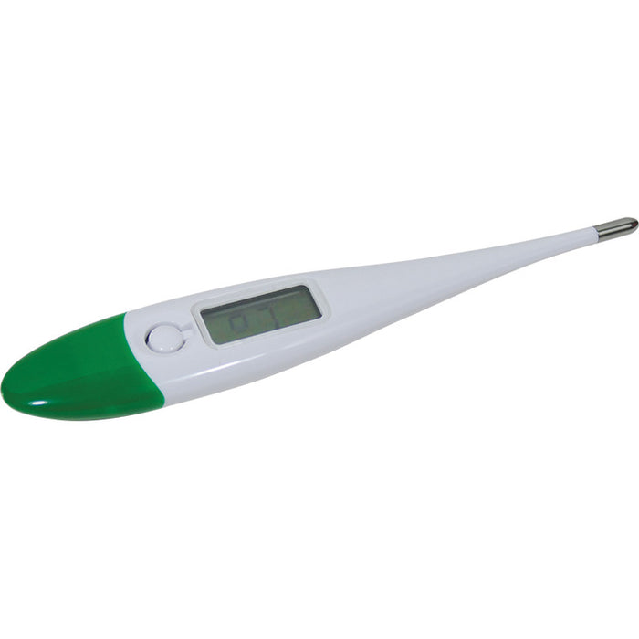 Economy Clinical Digital Thermometer