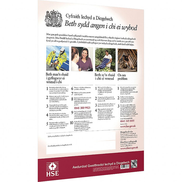 HSE Health & Safety Law Poster, Welsh, A2 Poster