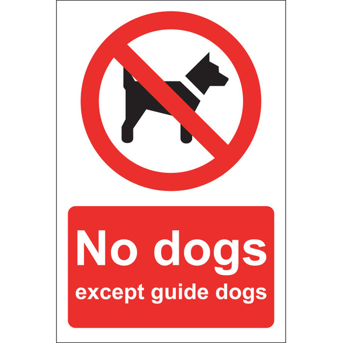 No Dogs Except Guide Dogs Sign, Rigid, 20x30cm