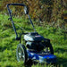 Hyundai Petrol Push Field Grass Trimmer | HYFT56 | 3 Year Platinum Warranty